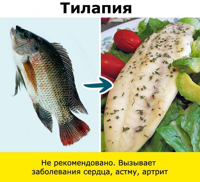 Какую Рыбу Можно Кушать На Диете