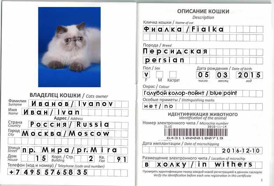 Где Можно Купить Паспорт Кошке