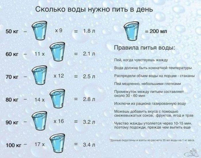 Сколько Надо Пить Воды При Диете