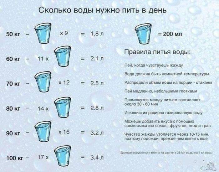 Диета 2 Стакана Воды