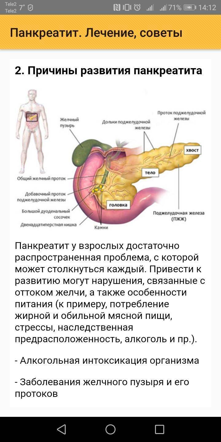 Диета При Болезни Поджелудочной Железы У Мужчин