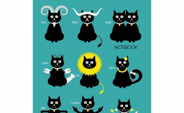 Порода кошек, подходящая вам по знаку зодиака.