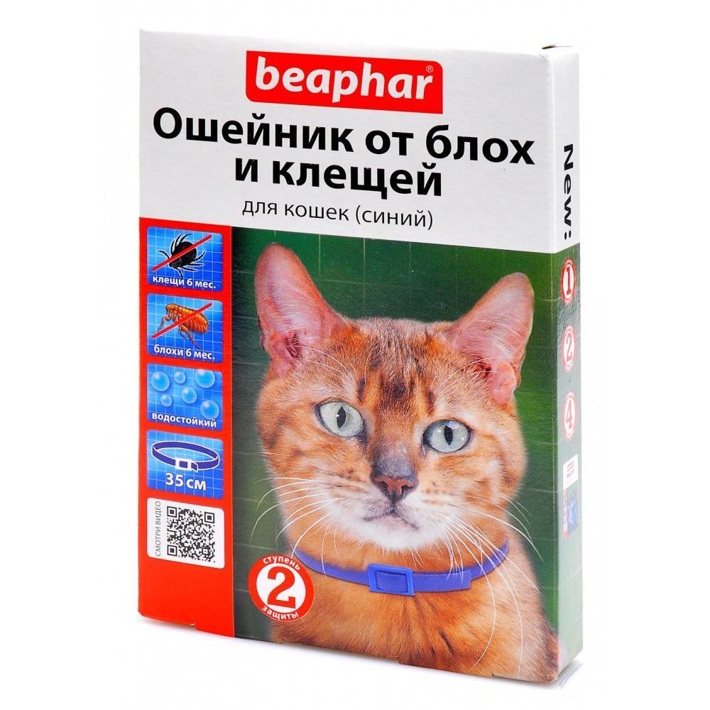 Как правильно подобрать кошке противоблошиный ошейник?