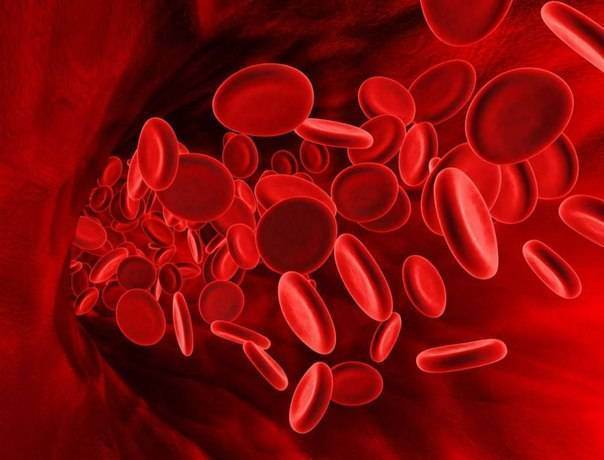 Определение группы крови и перекрестные пробы на совместимость для проведения переливаний крови