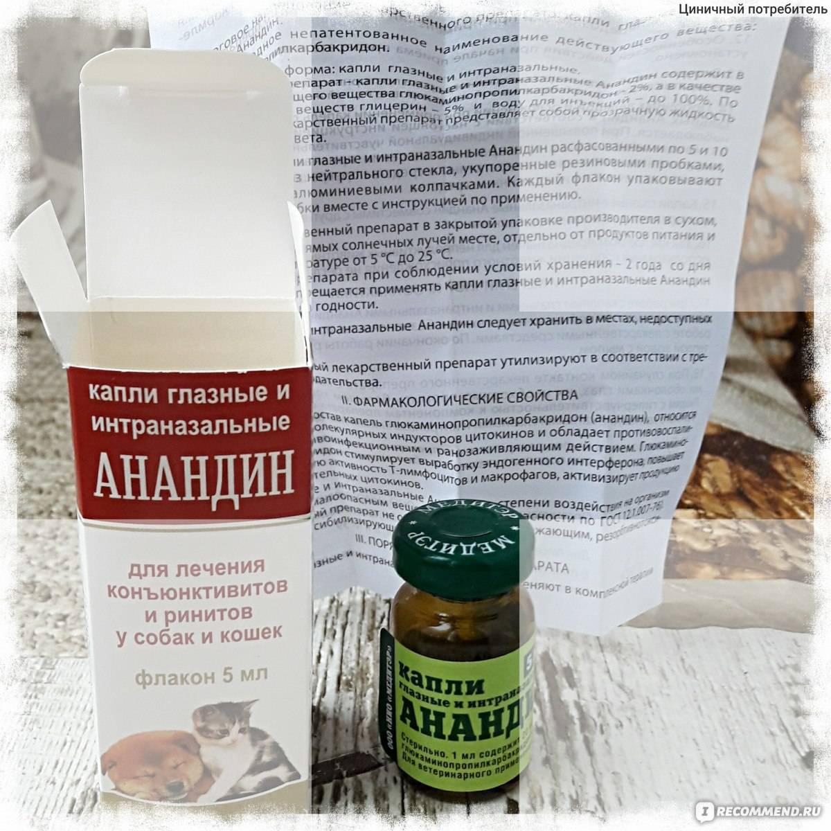 Анандин для кошек и собак: инструкция по применению