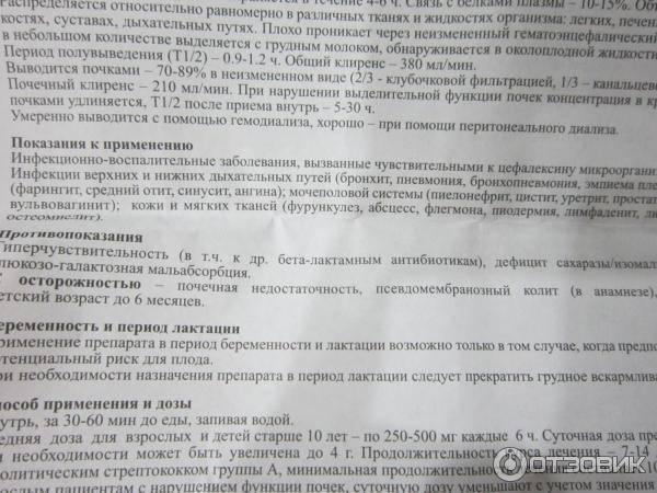 Цефалексин для собак: использование, дозировка и побочные эффекты - здоровье собаки 2021
