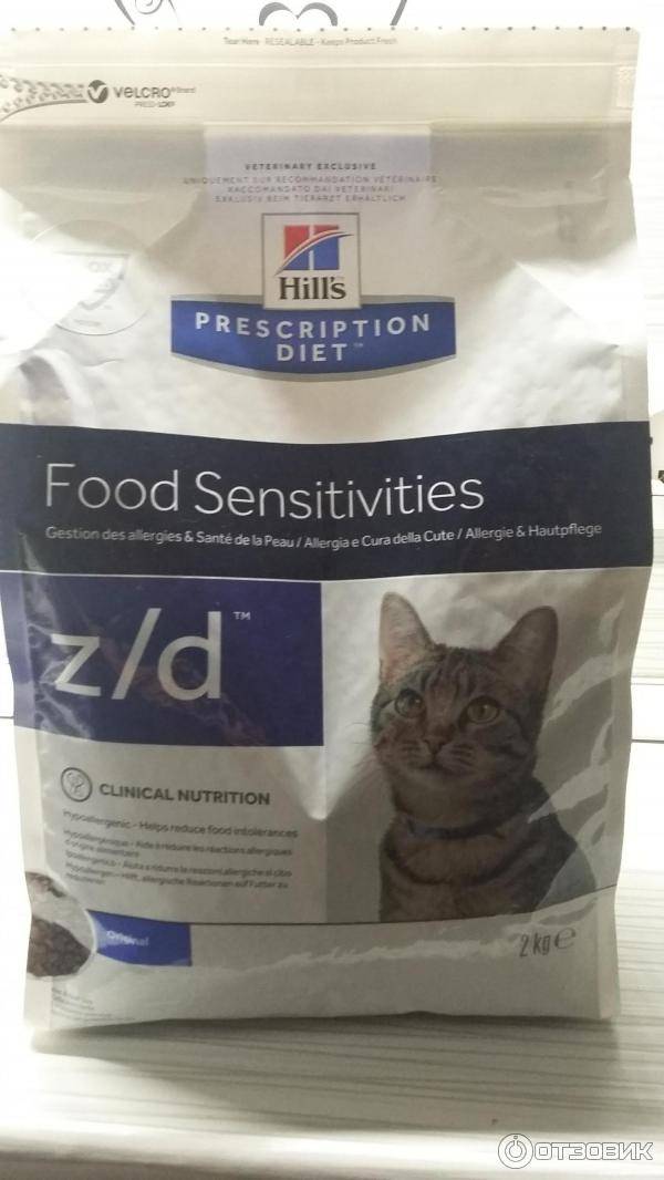 Кормление кошек при аллергии: натуральные продукты и сухие корма