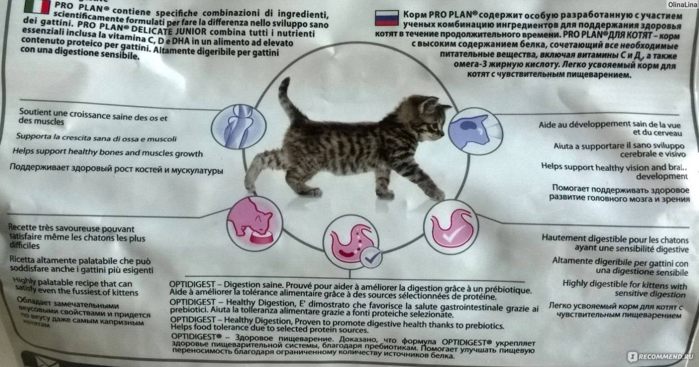 Корм проплан для кошек: виды и состав, отзывы владельцев и ветеринаров