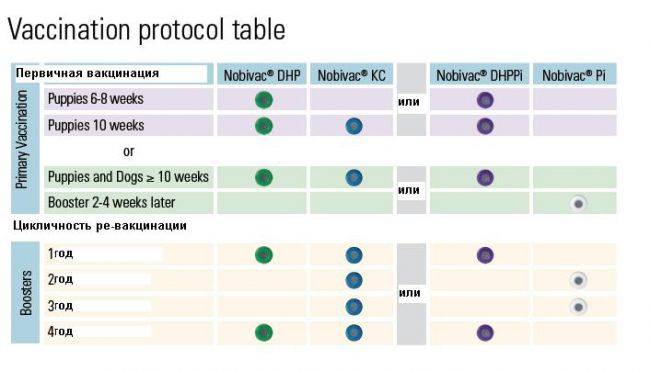 Нобивак схема вакцинации щенков