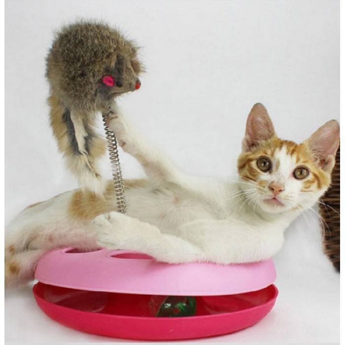 Как сделать игрушку для кота или кошки своими руками в домашних условиях? - kotiko.ru