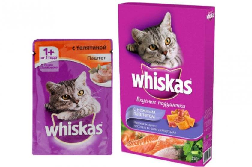 Можно ли сочетать промышленный корм для кошек с «домашней» пищей?