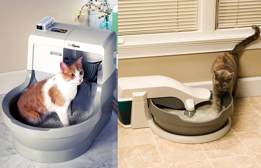Унитаз для кошек: видео-инструкция как сделать своими руками, особенности автоматических туалетов, лотков, приспособлений со сливом, как приручить, как помыть, цена, фото