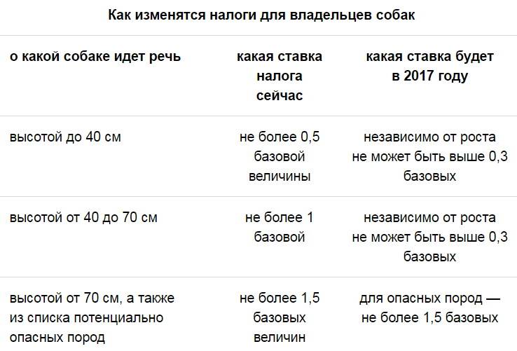 Налог на домашних животных в россии в 2019 году: будет введен или нет - zaxvatu.net