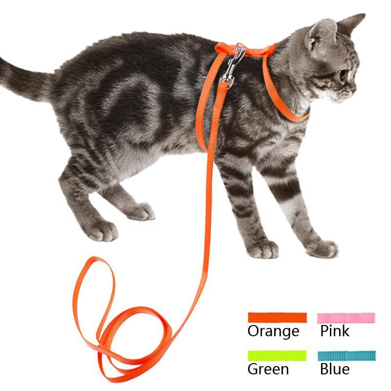 Шлейка для кошки своими руками: общая информация, как сшить поводок по выкройкам