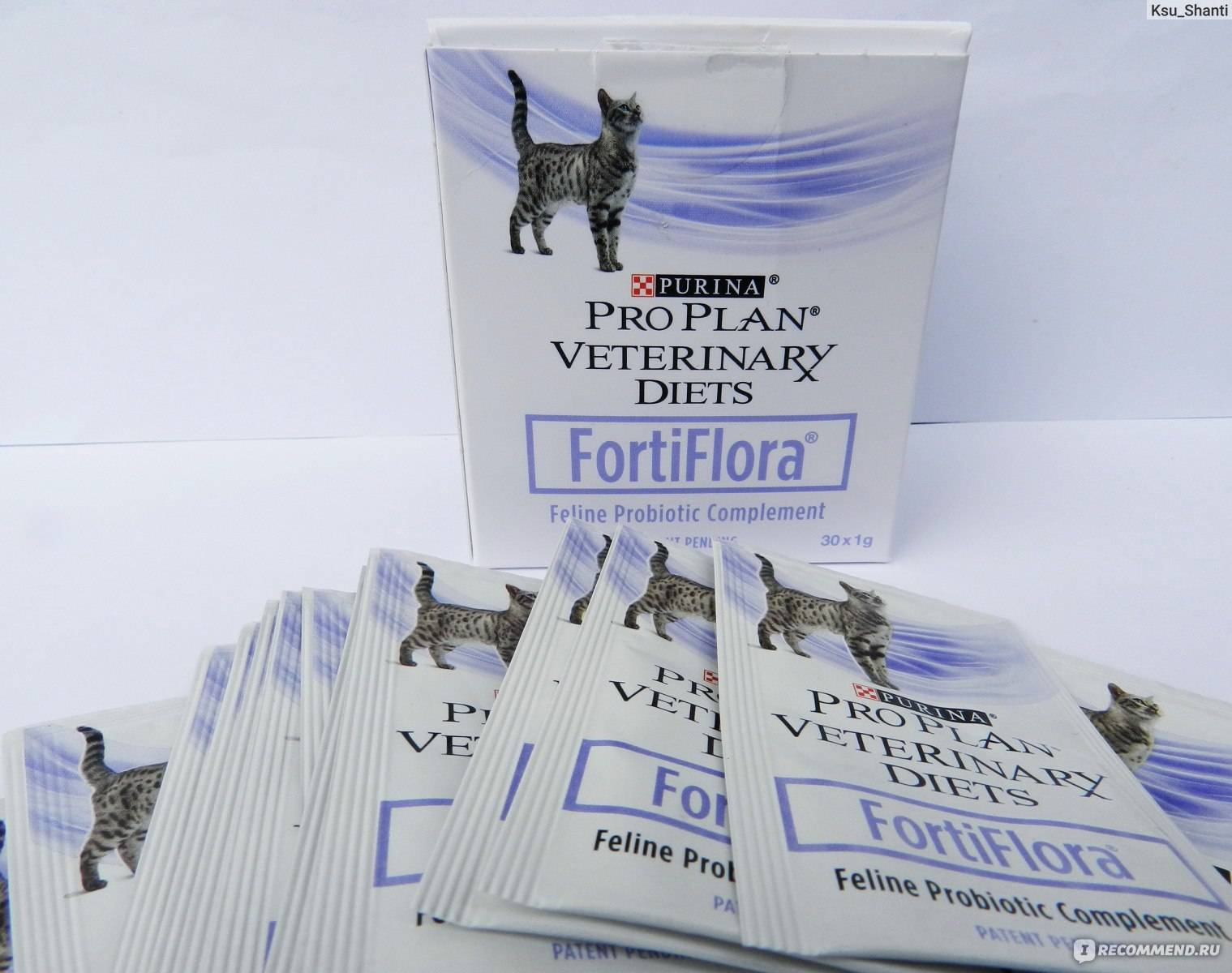 Вся польза и вред от фортифлоры для собак и как правильно ее применять?