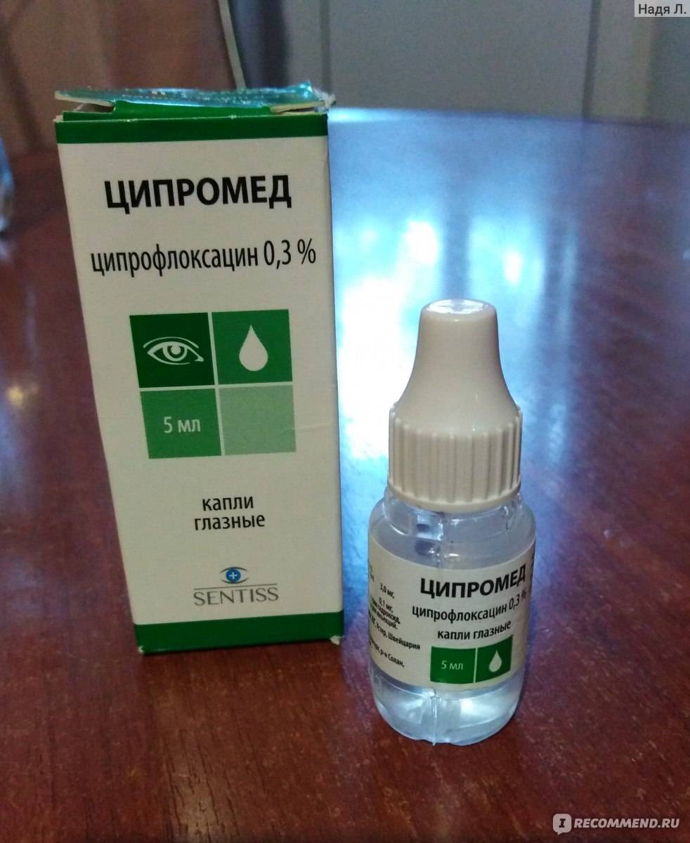 Как лечить конъюнктивит у кошек: 11 шагов