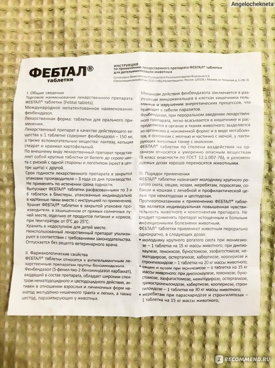 Фебтал для собак: инструкция по применению