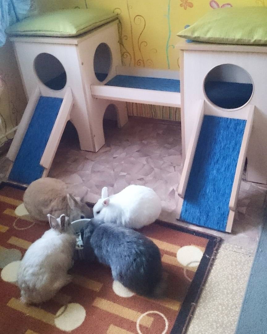 Домик для кролика своими руками. инструкция изготовления деревянного дома для декоративных питомцев в домашних условиях. делаем место грызуну