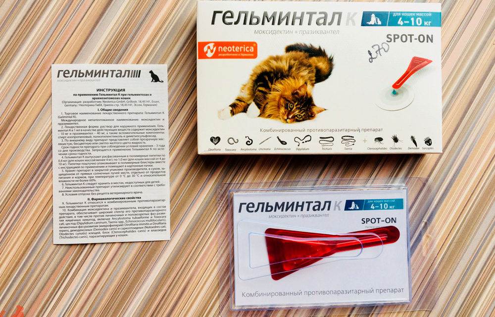 Гельминтал для кошек: инструкция по применению, формы выпуска и возможные побочные эффекты