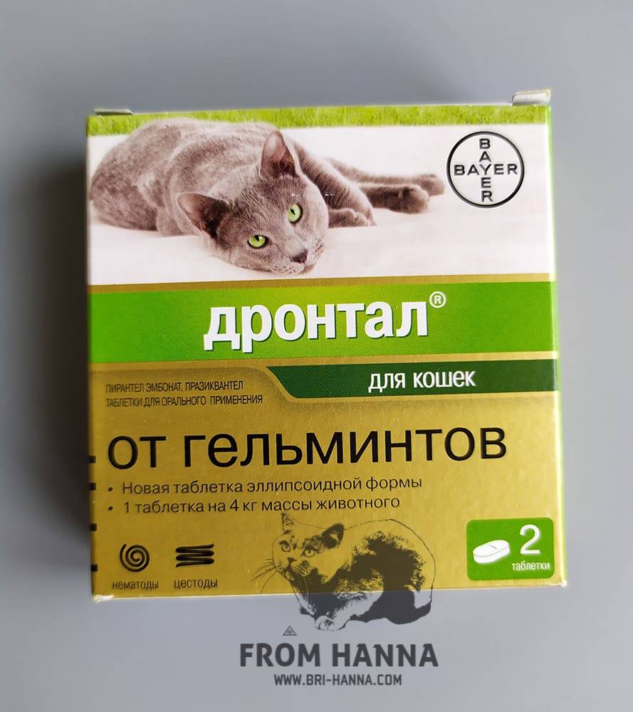 Дронтал для кошек - инструкция по применению лекарства от глистов у кошек, как давать таблетки drontal bayer котятам
