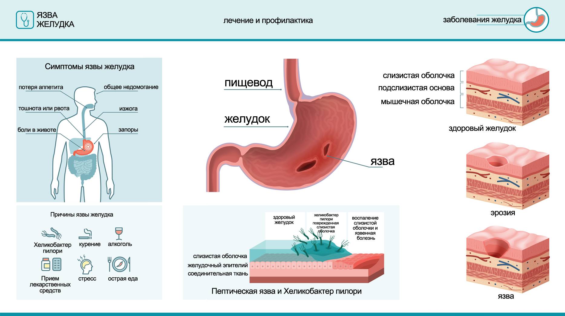 Лечение гастрита у кошек препараты схема лечения