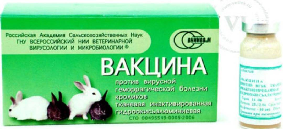 Использование ассоциированной вакцины для кроликов