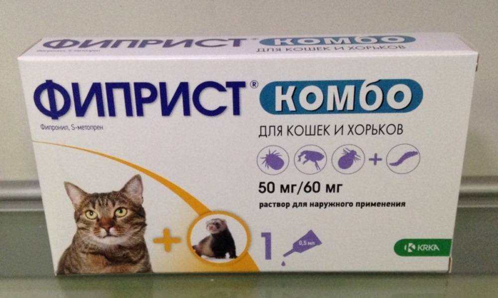 Препарат Фиприст: помощь в борьбе с кровососущими паразитами у кошек