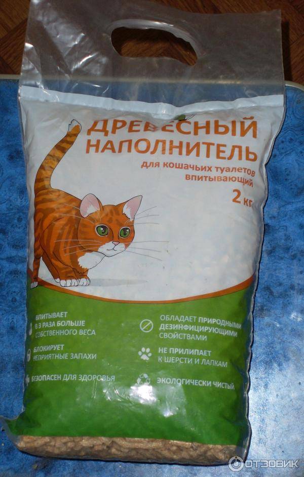 Наполнитель для кошек - виды и как правильно выбрать - kotiko.ru