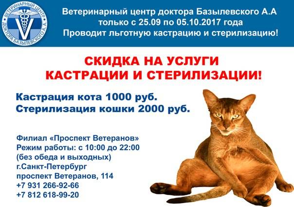 Как правильно кормить стерилизованных и кастрированных кошек и котов