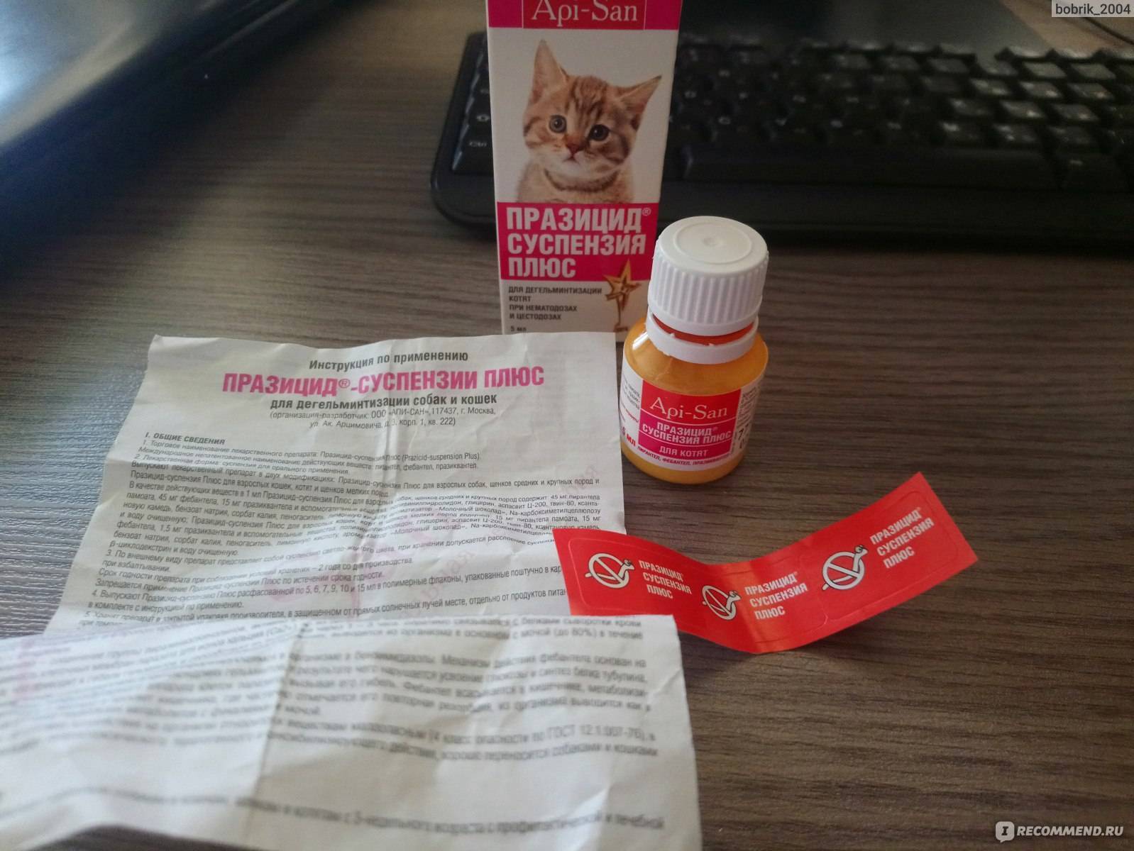 Празицид – суспензия и таблетки, инструкция по применению для котят и взрослых кошек: как давать, в какой дозировке?
