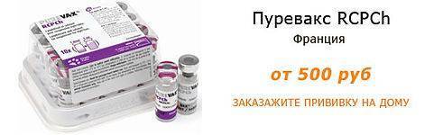 Вакцинация кошек