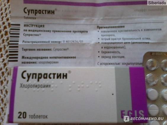 Что дать кошке от аллергии