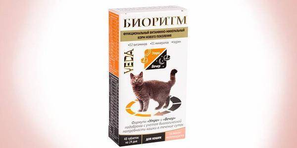 Обзор витаминов для котят, беременных кошек и взрослых котов – жидкие и в таблетках: лучшие витаминные комплексы