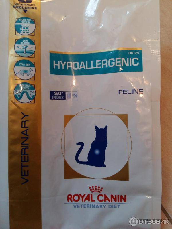 Гипоаллергенный корм для кошек – сухой, влажный, премиум, супер премиум класса, лучший, как выбрать