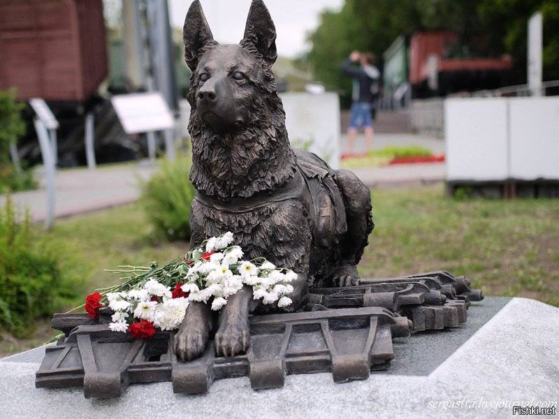 Памятники собакам в россии