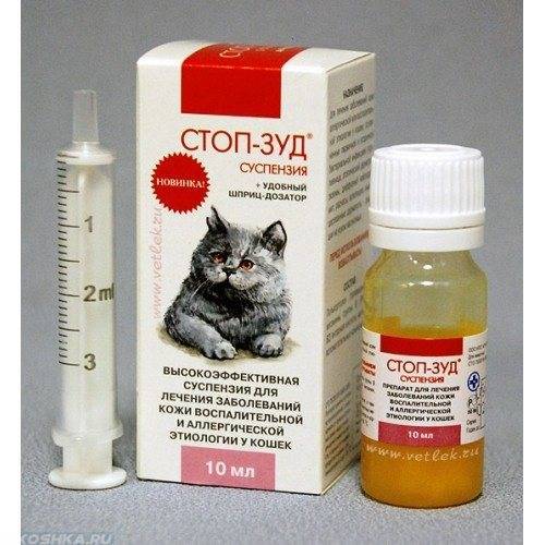 Простуда у кошек - лечение в домашних условиях
простуда у кошек - лечение в домашних условиях