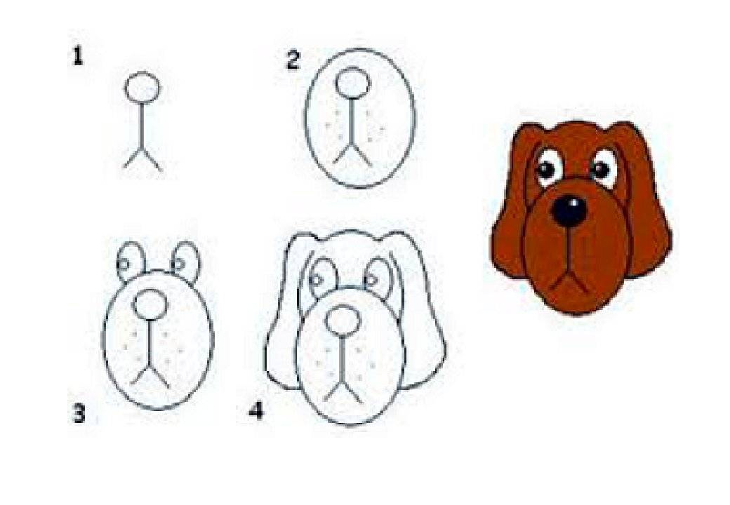 Как нарисовать собаку (фото, видео)