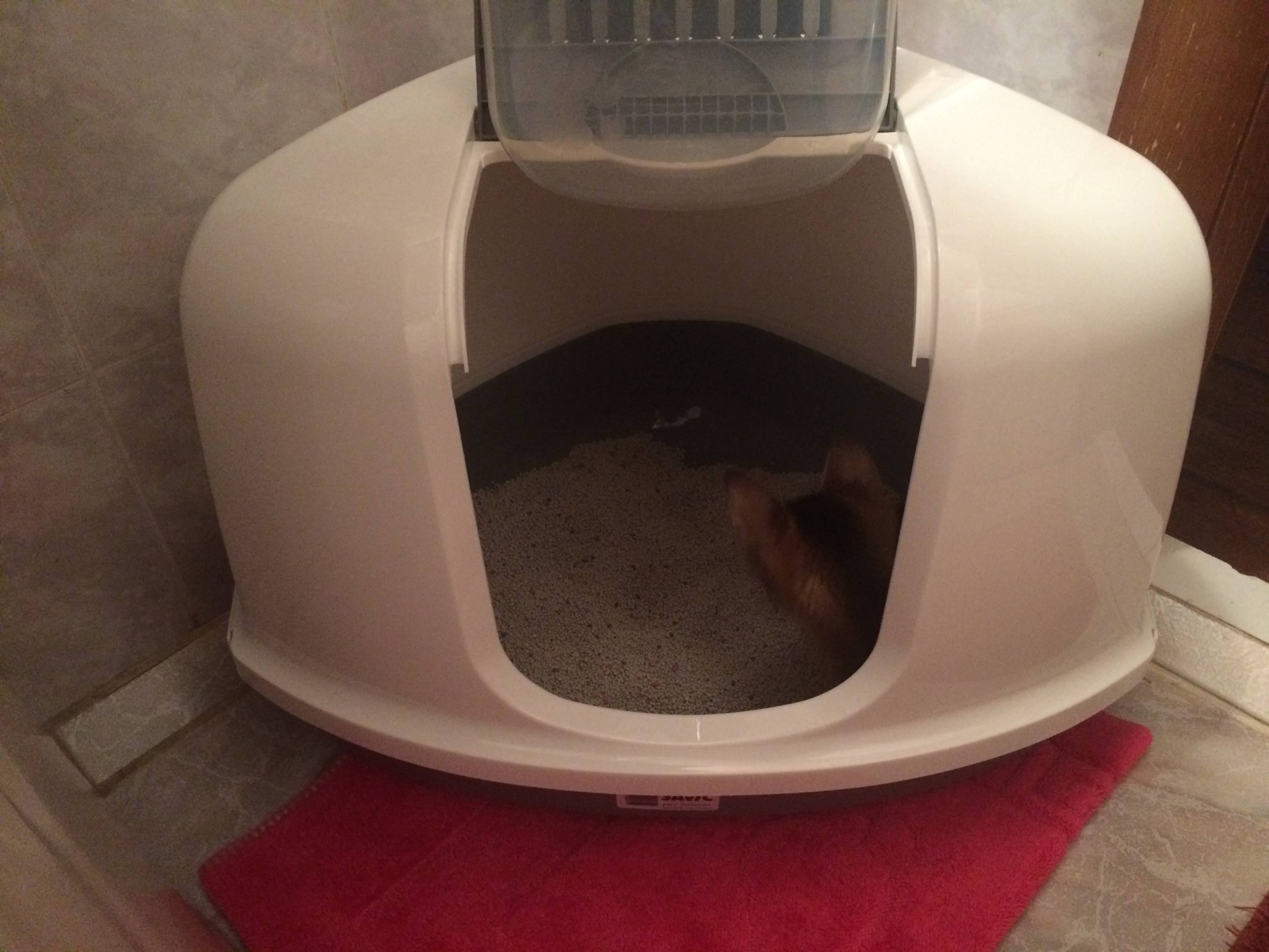 кошачий туалет домик угловой