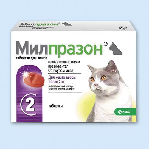 Глистогонные препараты для кошек