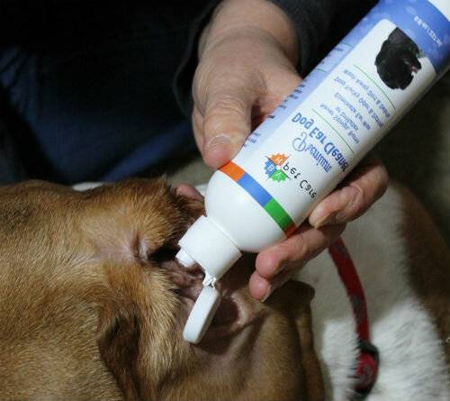 Как избавиться от неприятного запаха от собаки