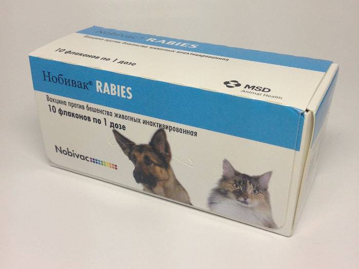 Нобивак рабиес для кошек: инструкция по применению, цена вакцины, отзывы