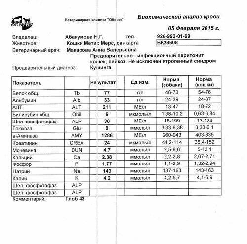 Биохимический анализ крови презентация