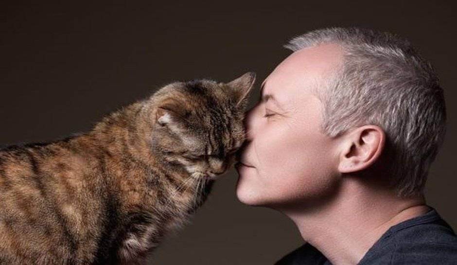 Почему нельзя целовать кошек и котов