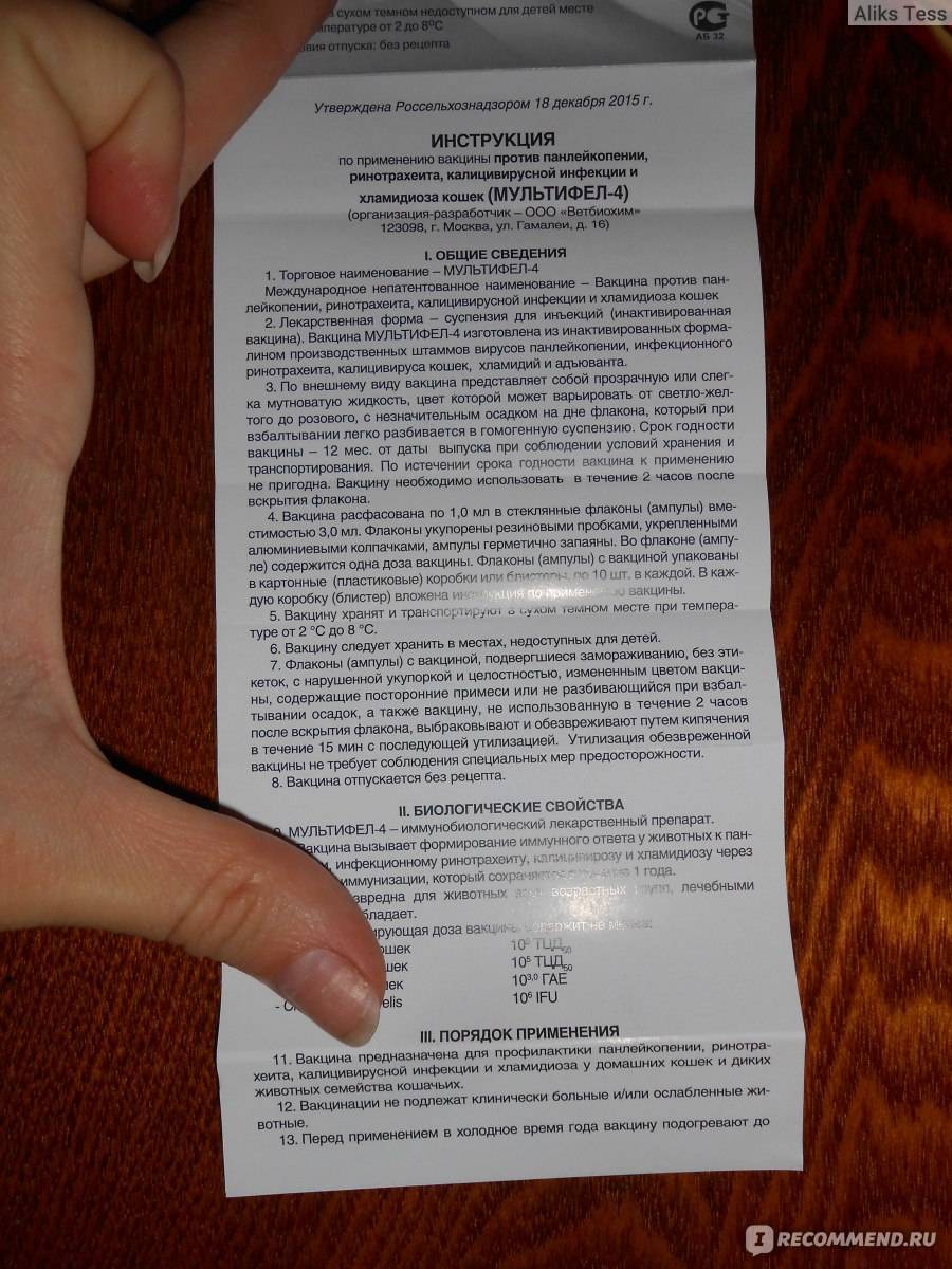 ᐉ мультифел 4: инструкция по применению вакцины для кошек, побочные эффекты и противопоказания - kcc-zoo.ru