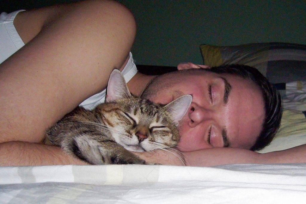 Если кошка спит в вашей постели, что это значит?