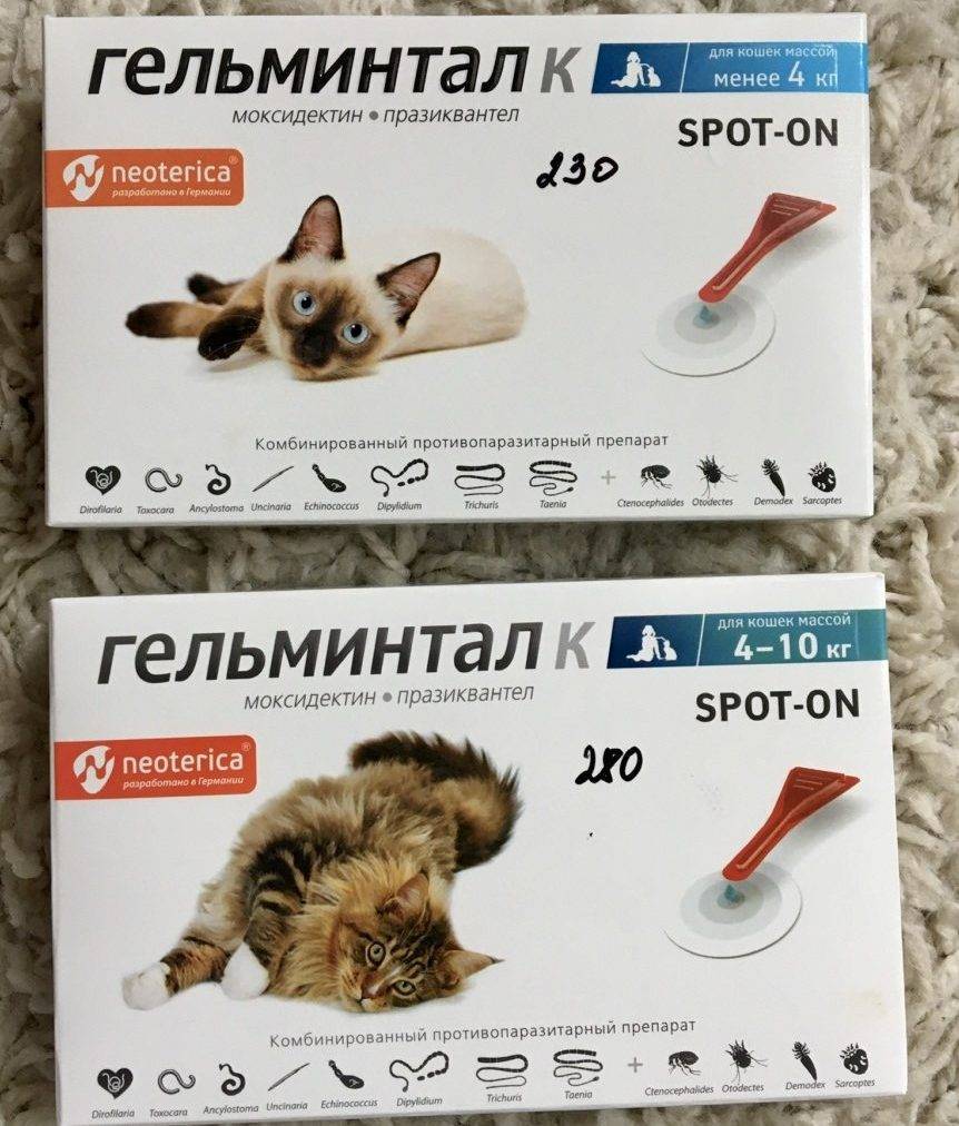 Капли на холку от глистов у кошек: популярные и эффективные препараты