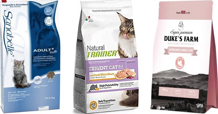 ???? лучшие сухие корма для кошек на 2022 год