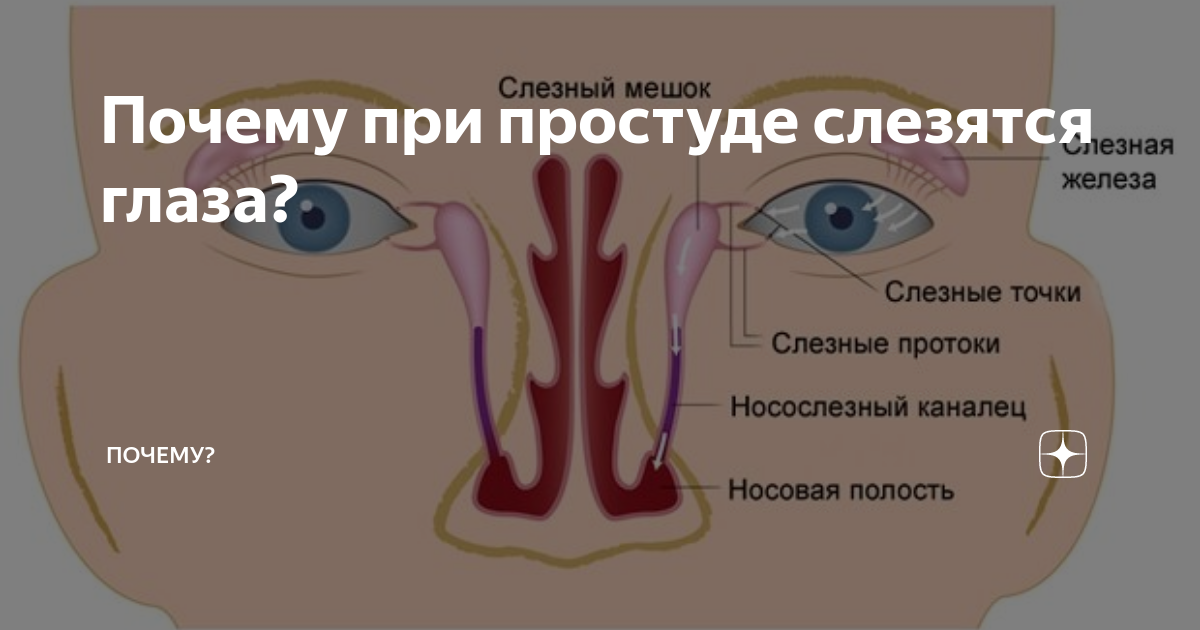 Почему причина что делать. Слезливость глаз при простуде. Текут слезы при простуде. Причины слезотечения глаза.