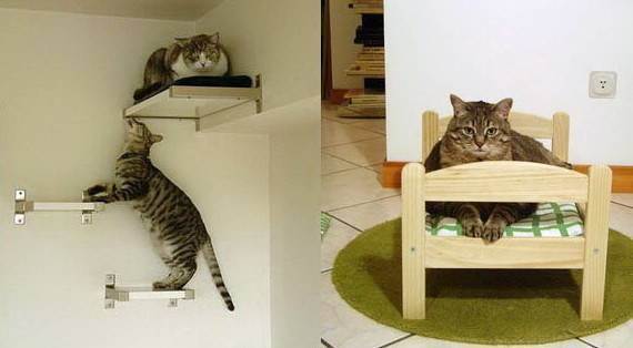 Варианты мебели для кошки, полезные советы по выбору