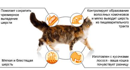 Корма для выведения шерсти из желудка — как помочь кошке справиться со своей шубкой